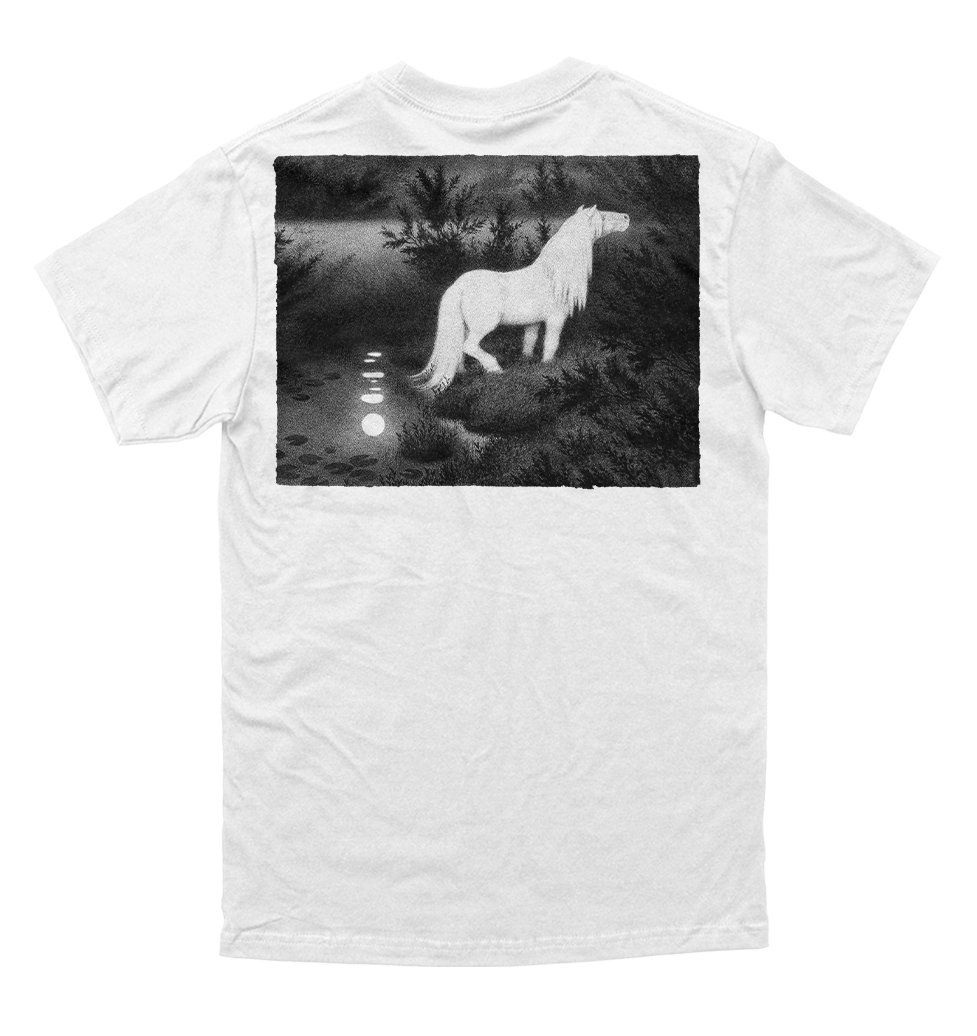 Polera Burzum - Filosofem