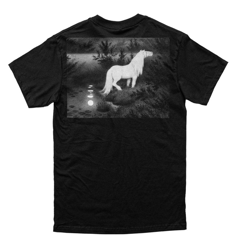 Polera Burzum - Filosofem