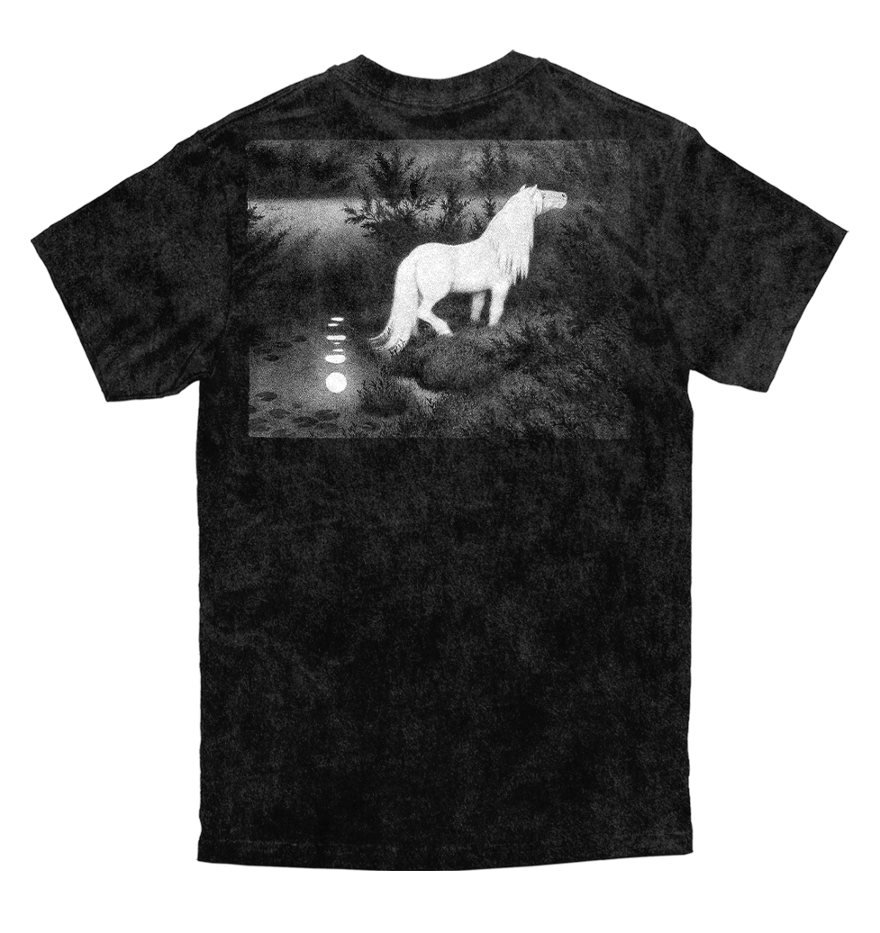 Polera Burzum - Filosofem
