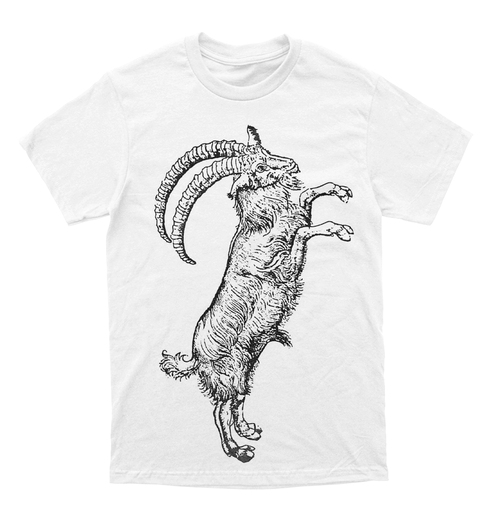 Polera The WITCH - Black Phillip Song