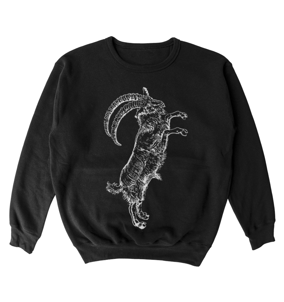 Poleron The WITCH - Black Phillip Song